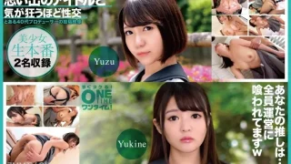 Рискованная мозаика